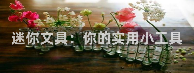 we娱乐 卧龙股东60447：迷你文具：