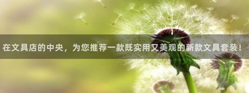 卧龙凤雏娱乐图：在文具店的中央，为您推荐