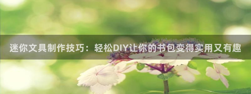 南阳卧龙娱乐会所评价：迷你文具制作技巧：