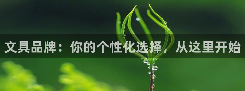南阳卧龙娱乐厂招聘：文具品牌：你的个性化