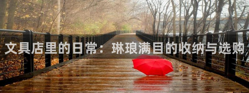 泰安卧龙大观娱乐中心：文具店里的日常：琳