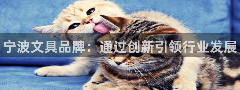 卧龙娱乐注册网址多少号：宁波文具品牌：通