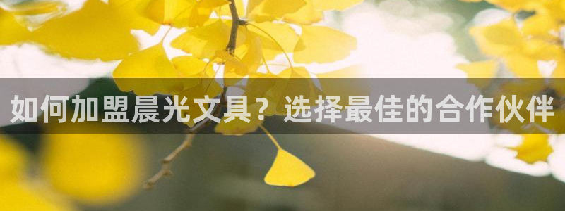 卧龙娱乐官网注册：如何加盟晨光文具？选择