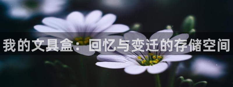 卧龙娱乐注册网址多少：我的文具盒：回忆与