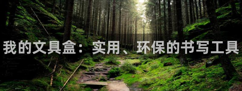 卧龙大型娱乐：我的文具盒：实用、环保的书