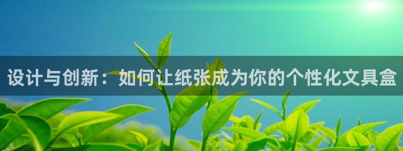 卧龙凤雏娱乐演员：设计与创新：如何让纸张