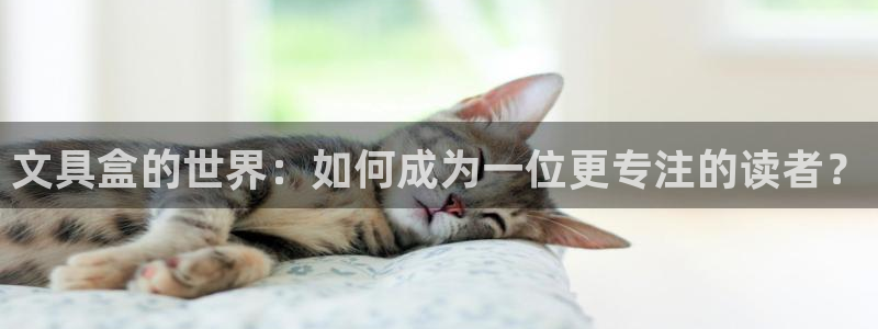 卧龙娱乐网址：文具盒的世界：如何成为一位