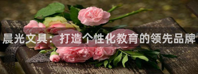 绥阳卧龙湖娱乐场地：晨光文具：打造个性化