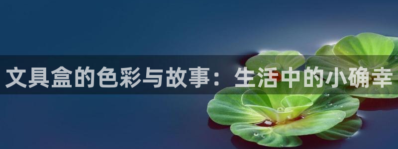 卧龙娱乐主管是谁呀：文具盒的色彩与故事：