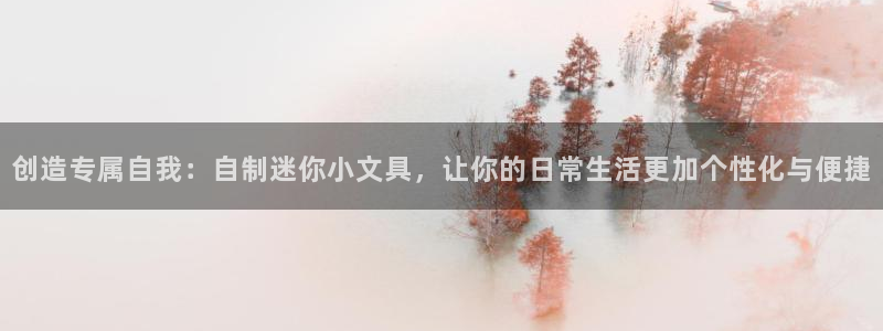 卧龙环岛儿童娱乐：创造专属自我：自制迷你