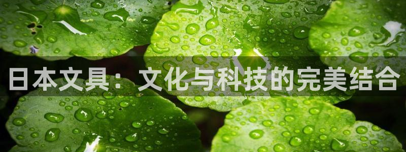 卧龙谷娱乐：日本文具：文化与科技的完美结