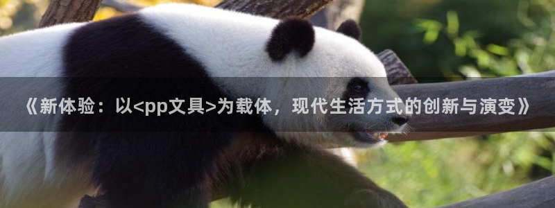 卧龙娱乐3822233：《新体验：以<p