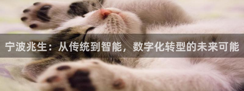 卧龙港娱乐城：宁波兆生：从传统到智能，数