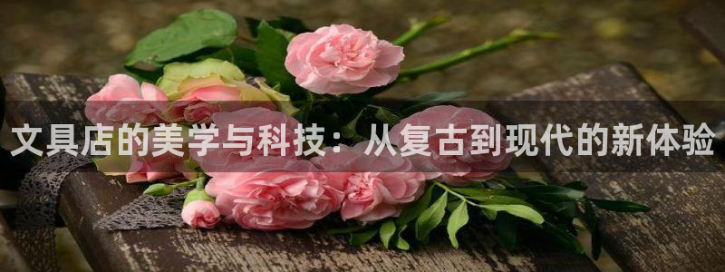卧龙凤雏娱乐收入：文具店的美学与科技：从
