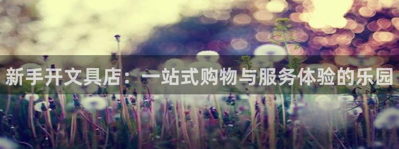 卧龙娱乐app彩票计划：新手开文具店：一
