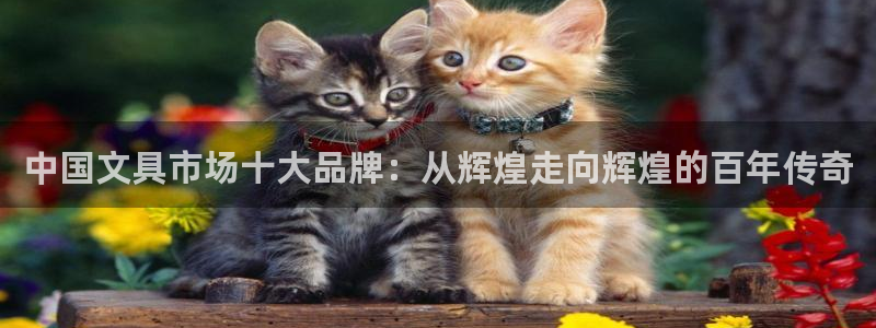 卧龙湾娱乐休闲会所电话：中国文具市场十大