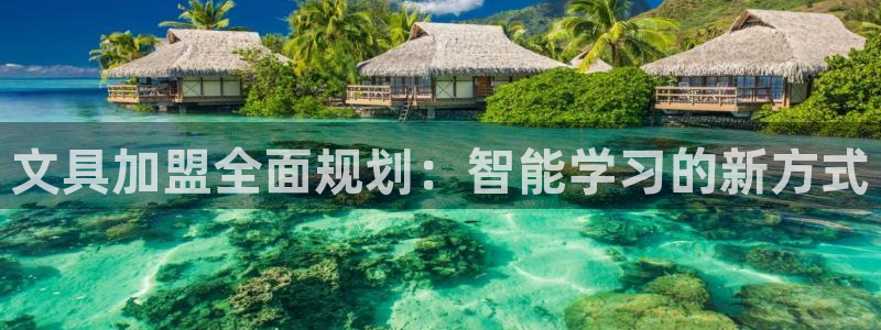卧龙娱乐若七九九：文具加盟全面规划：智能