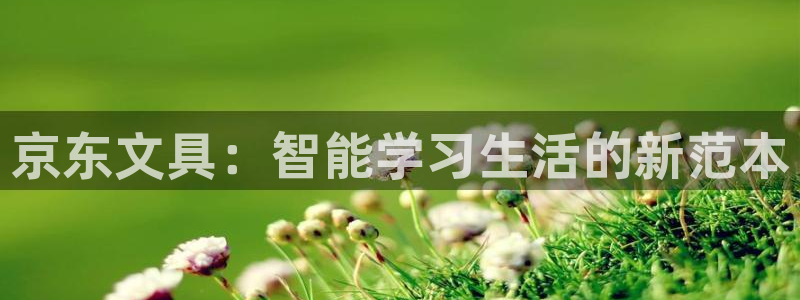 卧龙娱乐若七九九：京东文具：智能学习生活