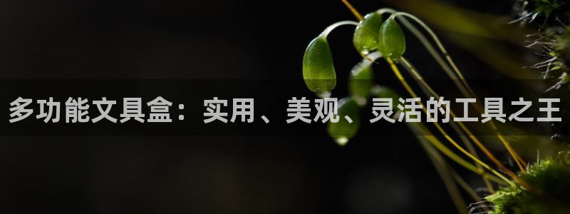 卧龙2神机娱乐攻略：多功能文具盒：实用、