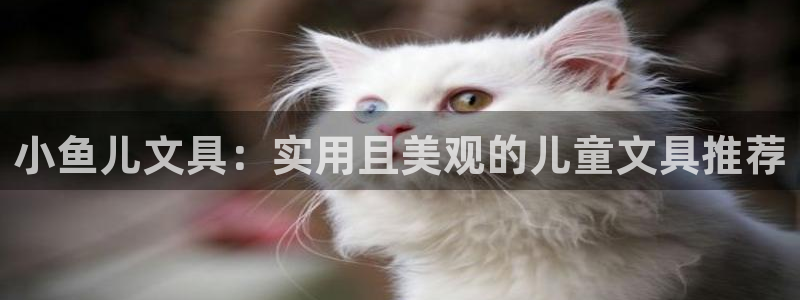 卧龙娱乐平台下载：小鱼儿文具：实用且美观