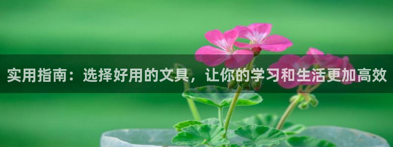 sky娱乐 扣卧龙60447：实用指南：