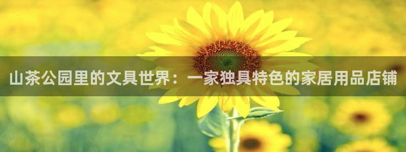 卧龙玩娱乐场：山茶公园里的文具世界：一家