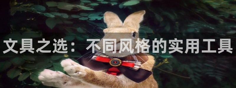 卧龙2娱乐雀711112：文具之选：不同