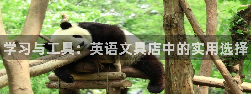 卧龙娱乐账号登录设置：学习与工具：英语文