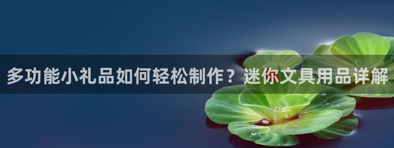 卧龙娱乐平台注册：多功能小礼品如何轻松制