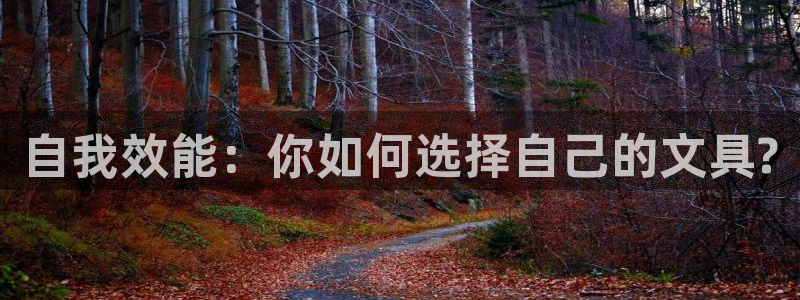 卧龙区娱乐设备：自我效能：你如何选择自己