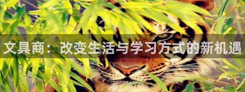 卧龙娱乐主管是谁呀：文具商：改变生活与学