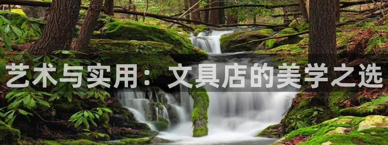 卧龙娱乐上7O667：艺术与实用：文具店