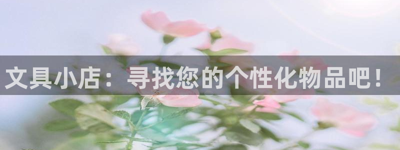 星酱娱乐卧龙：文具小店：寻找您的个性化物