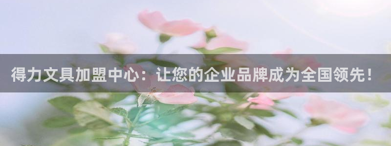 卧龙娱乐招商主管薪资：得力文具加盟中心：