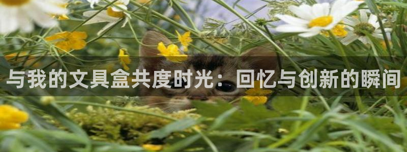 卧龙娱乐开户：与我的文具盒共度时光：回忆