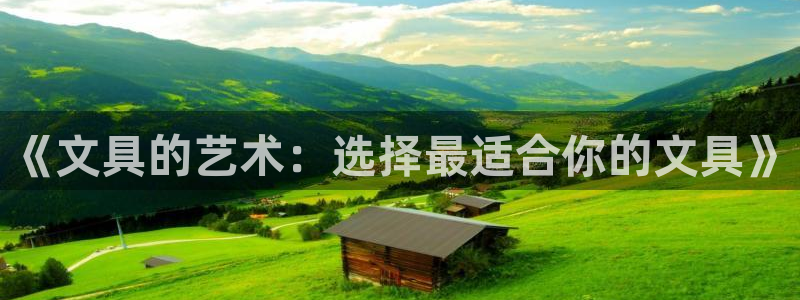 卧龙娱乐招商：《文具的艺术：选择最适合你