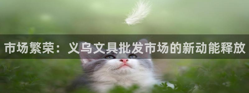 卧龙哥休闲娱乐：市场繁荣：义乌文具批发市