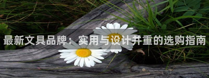 卧龙棋牌娱乐：最新文具品牌：实用与设计并