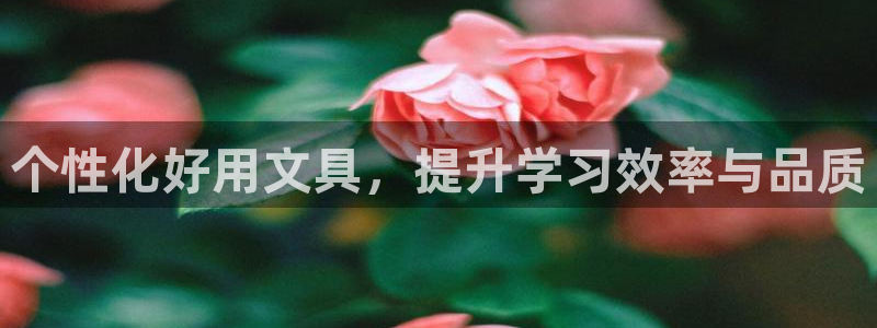SKY娱乐 卧龙股东60447：个性化好