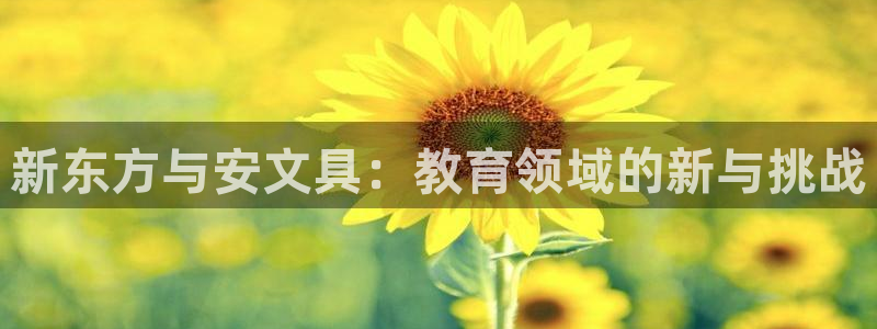 卧龙峡水上娱乐：新东方与安文具：教育领域