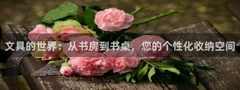 HR娱乐卧龙主管60447：文具的世界：