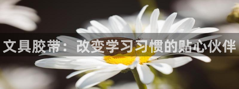 卧龙娱乐是真假吗：文具胶带：改变学习习惯