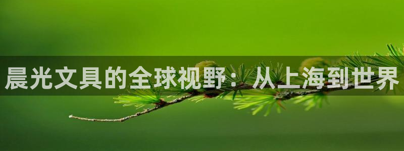 PT娱乐 扣卧龙60447：晨光文具的全
