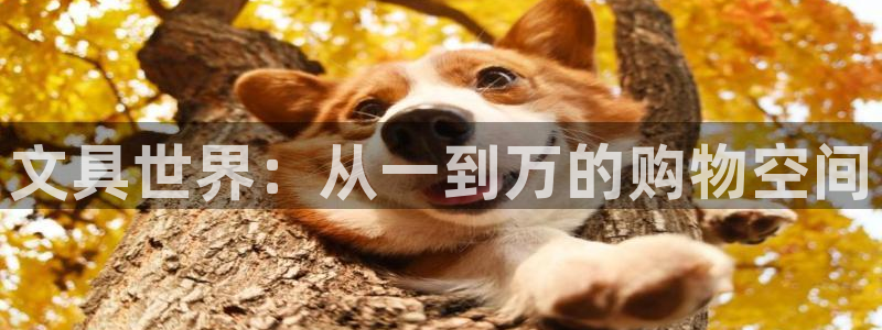 卧龙沟娱乐场：文具世界：从一到万的购物空