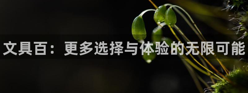 卧龙娱乐老板是谁呀视频：文具百：更多选择