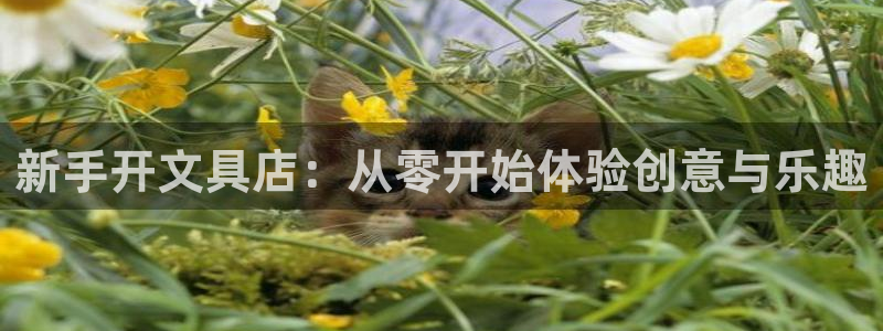 卧龙区微微娱乐商城：新手开文具店：从零开