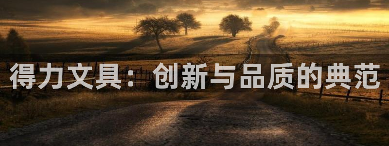 杏耀娱乐 0 47卧龙：得力文具：创新与