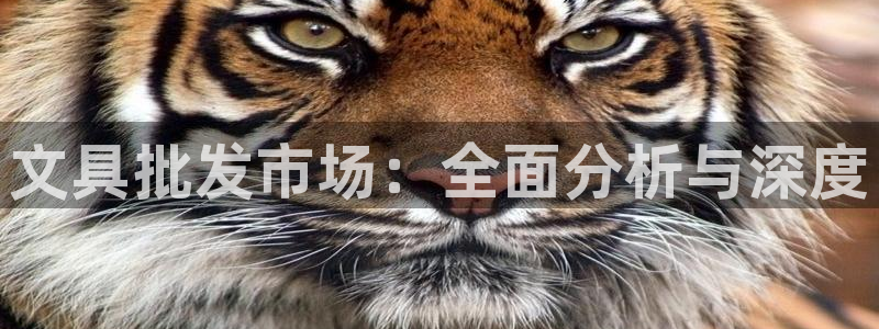 卧龙娱乐设备地址：文具批发市场：全面分析