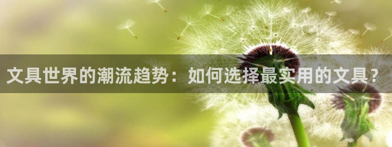 卧龙娱乐在线直播平台：文具世界的潮流趋势