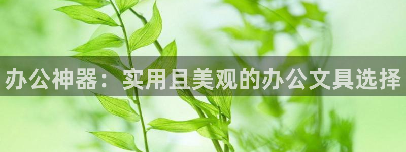 卧龙娱乐老板是谁：办公神器：实用且美观的